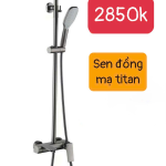 Sen đồng mạ titan